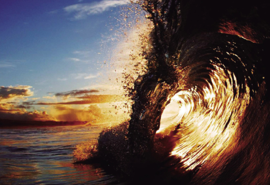 【テスト環境】GRF